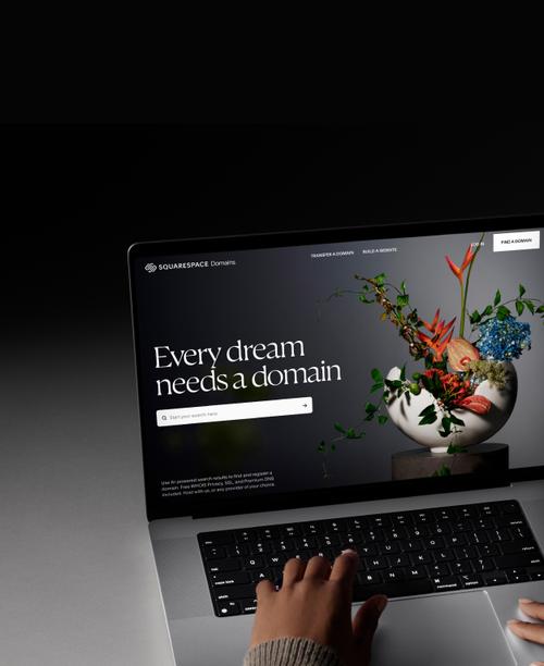 O Squarespace Domains procura onde os usuários podem ver os TLDs disponíveis para compra.